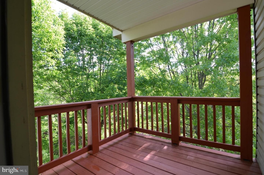 11023 Birchtree Lane - Photo 10