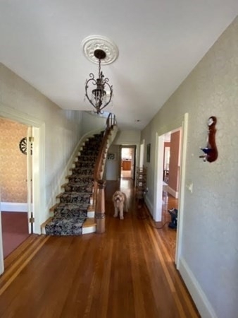 30 Waldron Street - Photo 4