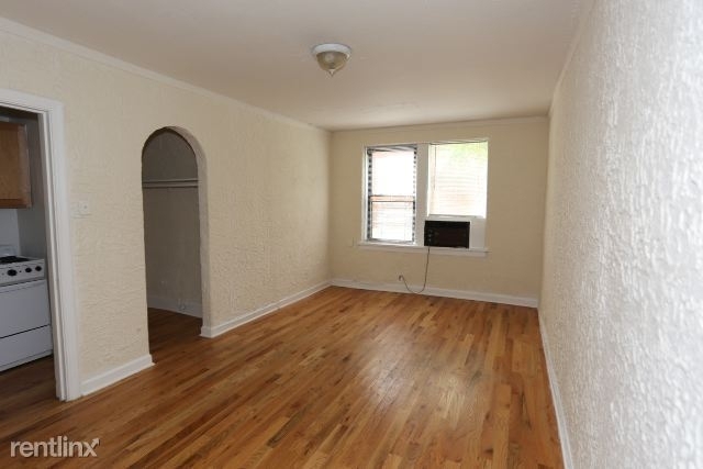 536 W. Arlington, Unit 301 - Photo 3