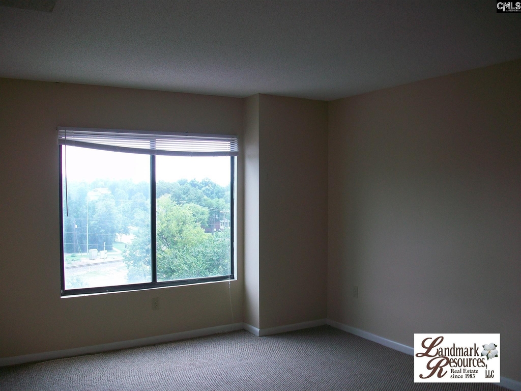 1600 Park Circle 809 - Photo 4