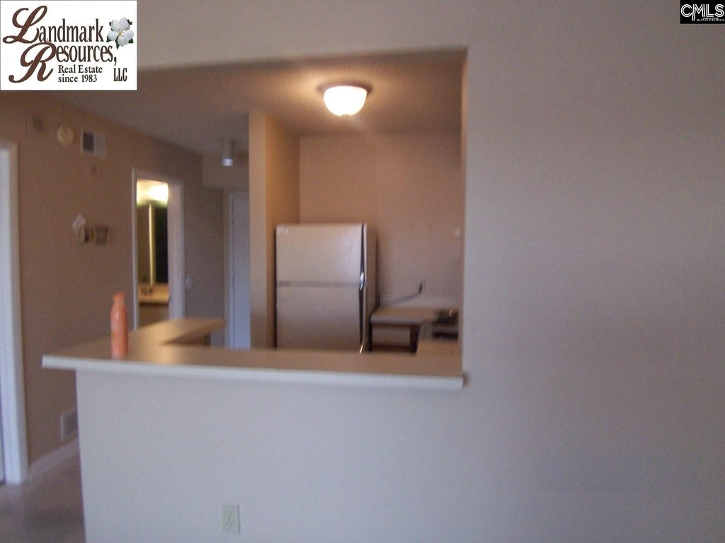 1600 Park Circle 809 - Photo 2