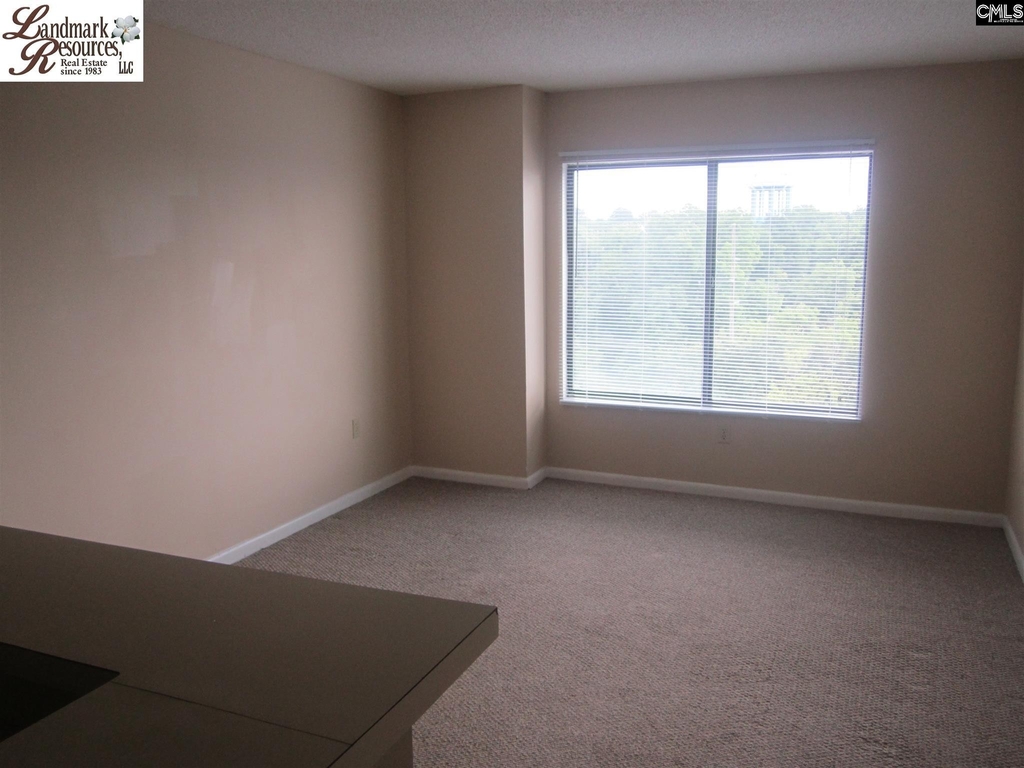 1600 Park Circle 809 - Photo 6