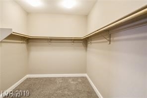 7114 Flora Lam Street - Photo 28