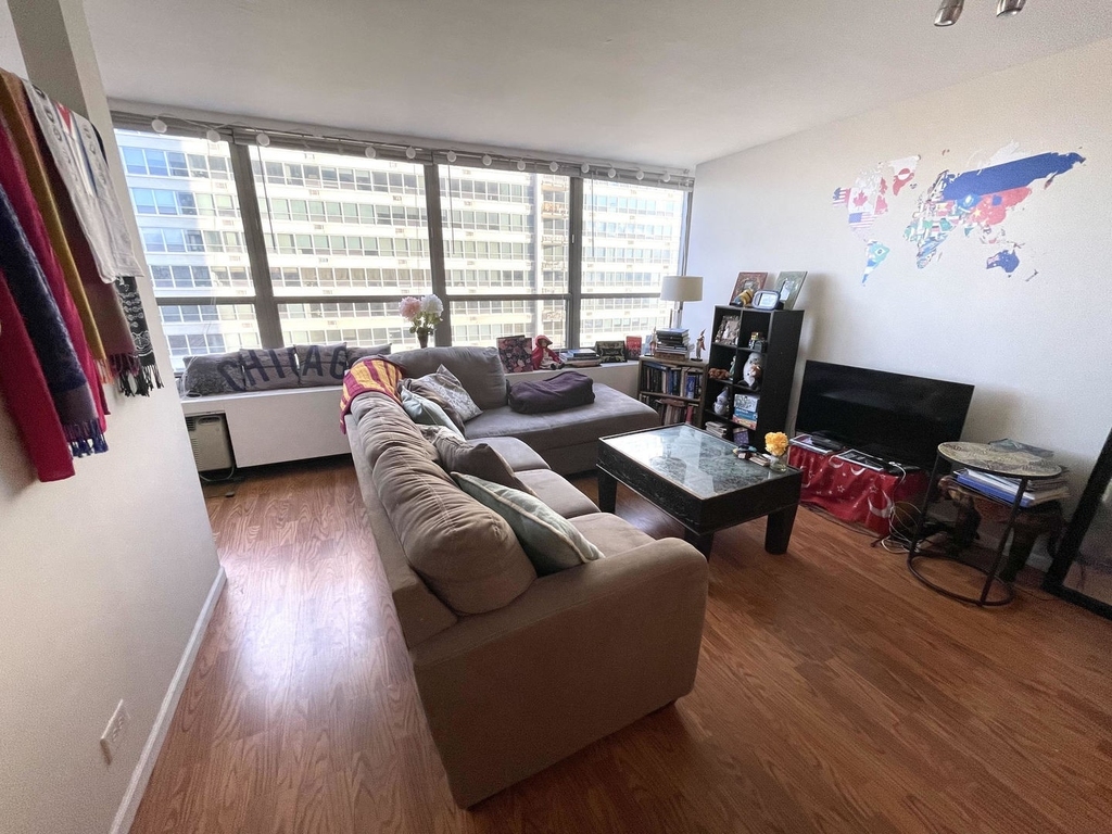 3550 N Lake Shore Drive - Photo 1