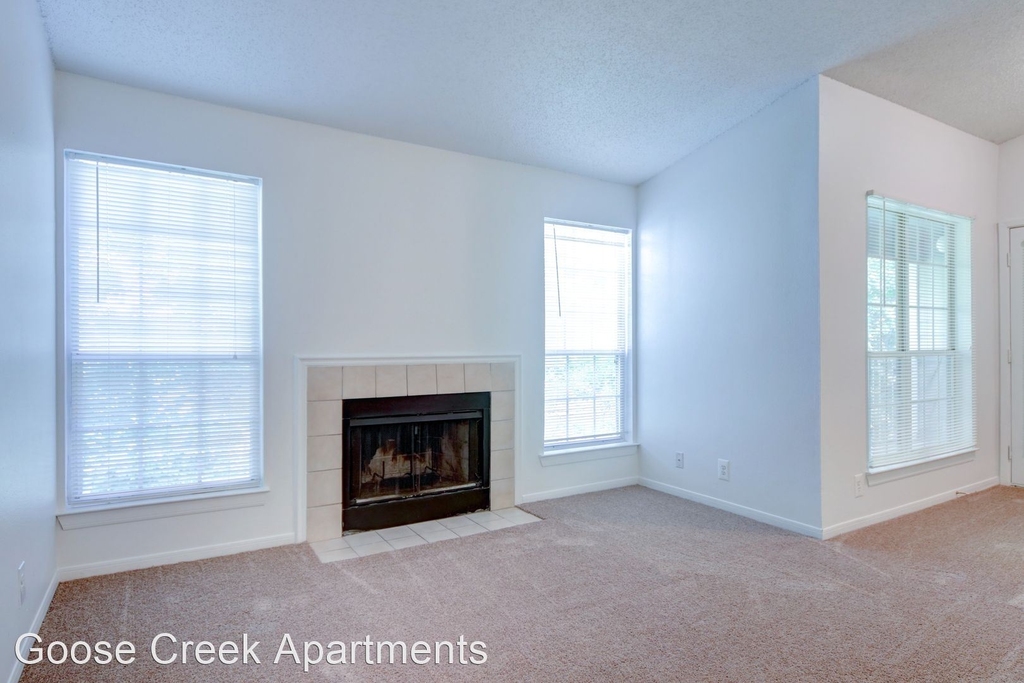 2 Goose Creek Drive - Photo 1