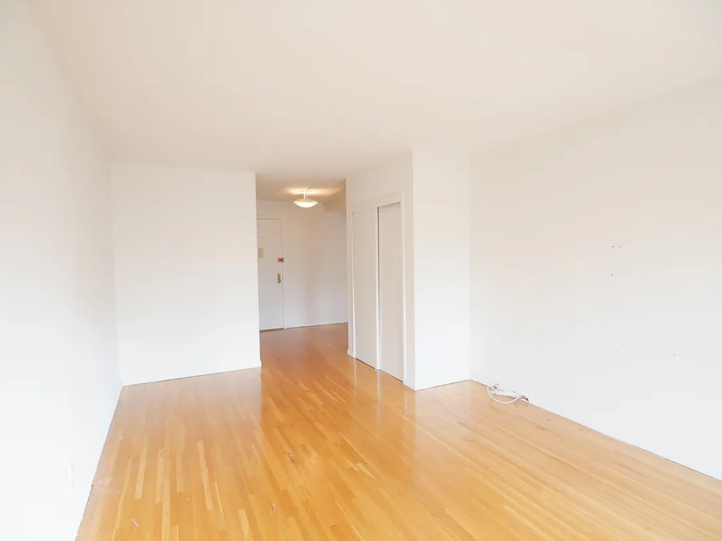 353 East 78th Street - Photo 1