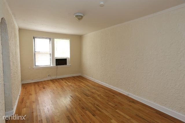 536 W. Arlington, Unit 301 - Photo 5