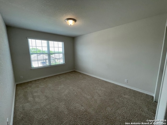 13318 Ailey Knoll - Photo 31