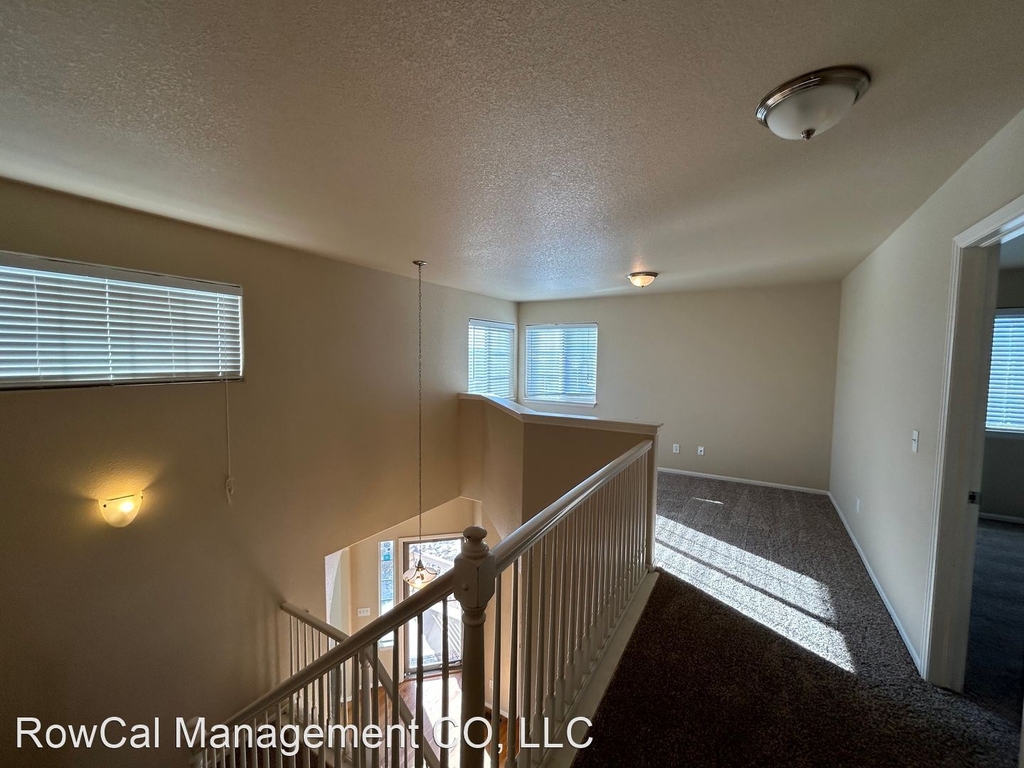 10404 Deer Meadow Circle - Photo 13