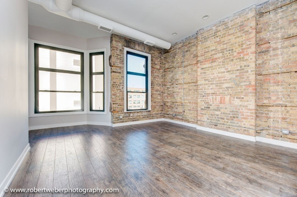 357 W Chicago Avenue - Photo 4