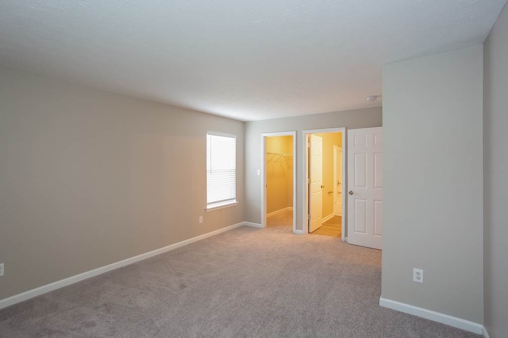 11029 Waterfield Lane - Photo 8