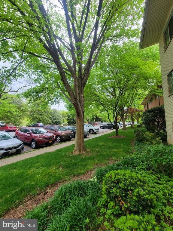 10220 Rockville Pike - Photo 20