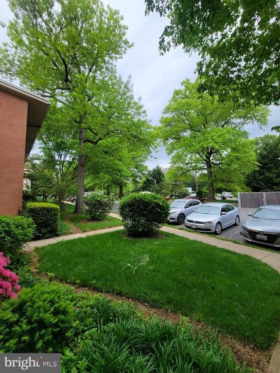 10220 Rockville Pike - Photo 21