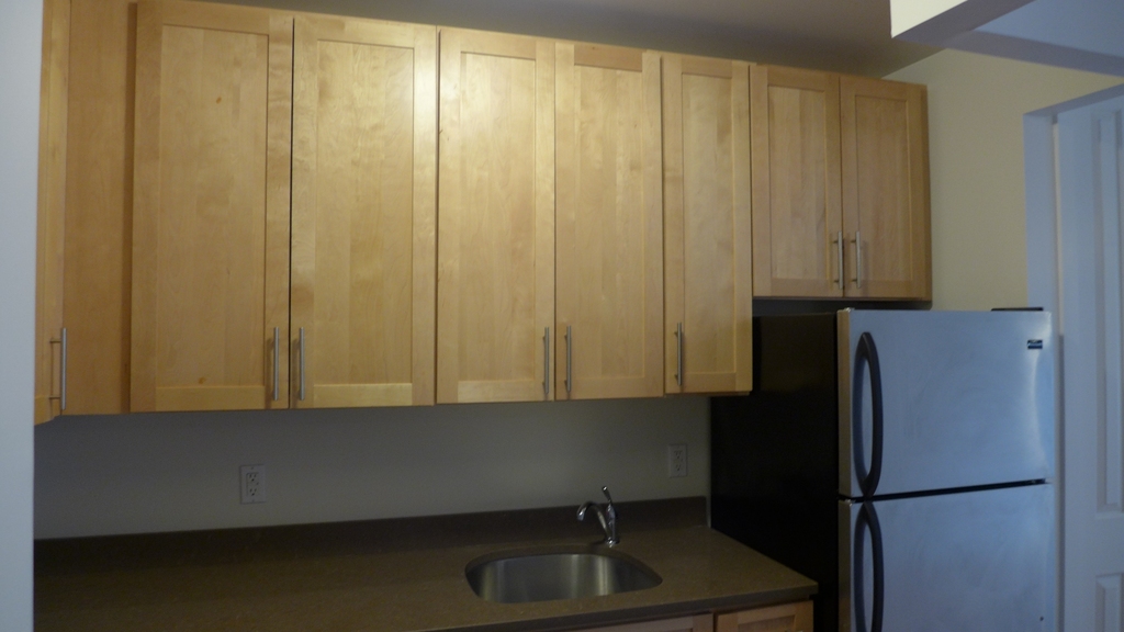 444 East 88th Street - Photo 8
