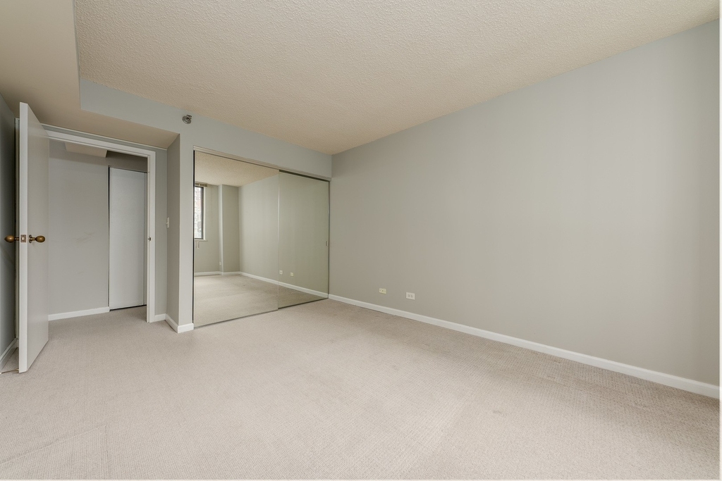 33 W Delaware Place - Photo 9