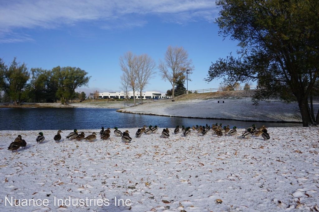 1962 London Carriage Grove - Photo 4