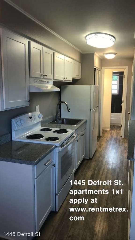 1445 Detroit St - Photo 11