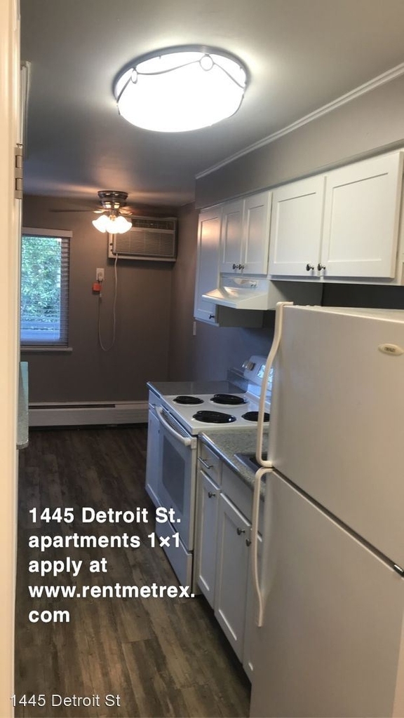 1445 Detroit St - Photo 12