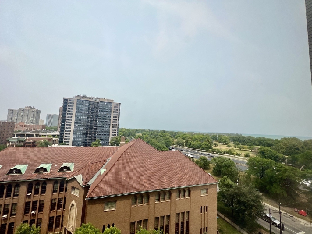 3950 N Lake Shore Drive - Photo 12