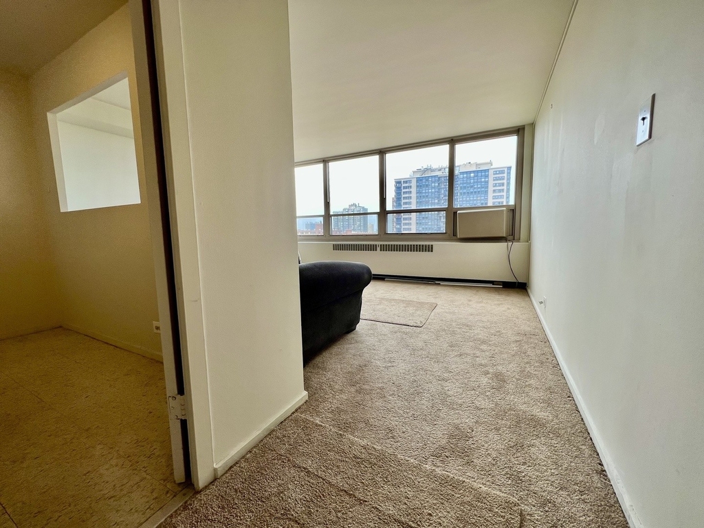 3950 N Lake Shore Drive - Photo 7