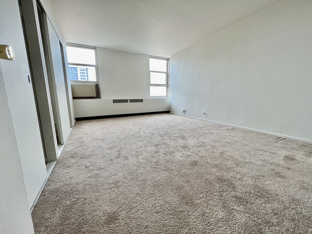 3950 N Lake Shore Drive - Photo 15