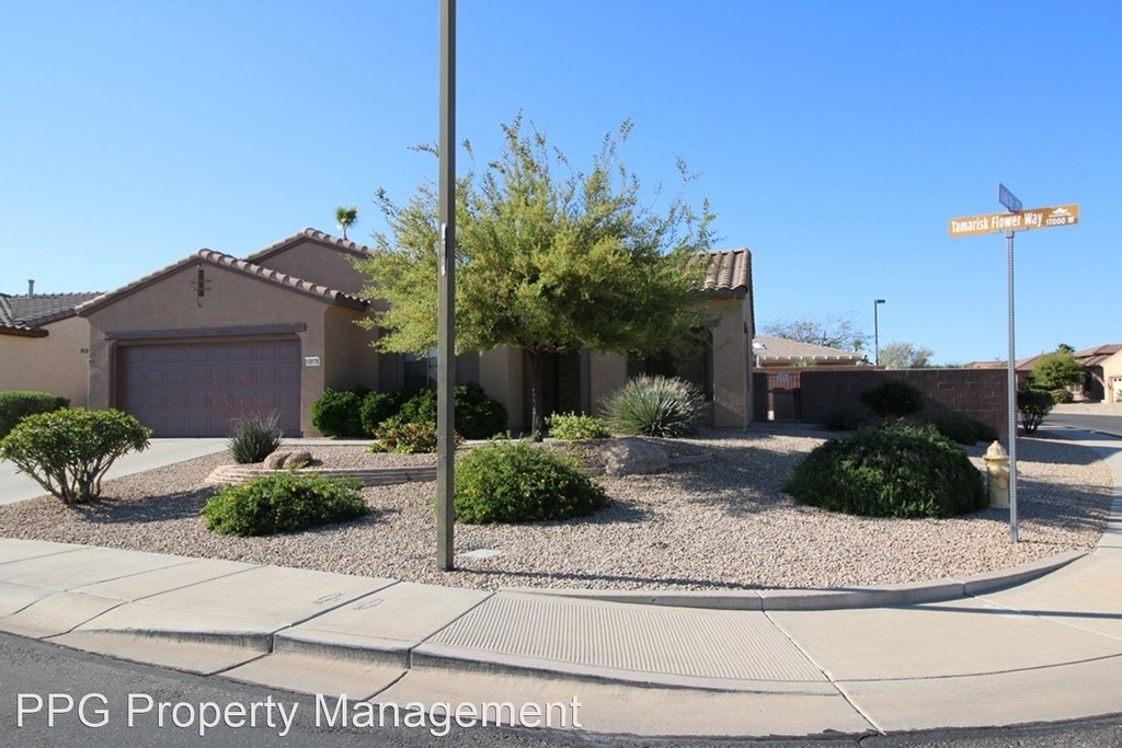 19176 N Tamarisk Flower Way - Photo 1