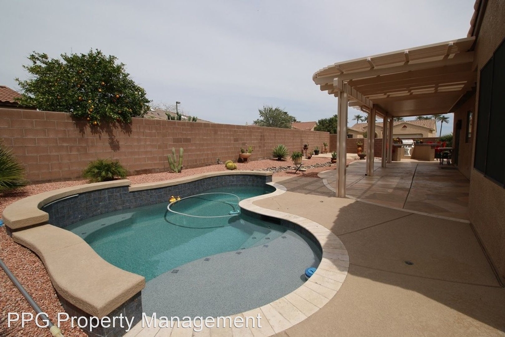 19176 N Tamarisk Flower Way - Photo 17