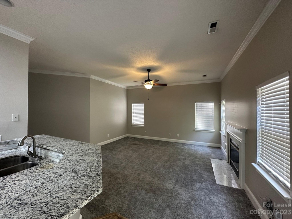 4722 Lone Tree Court - Photo 3