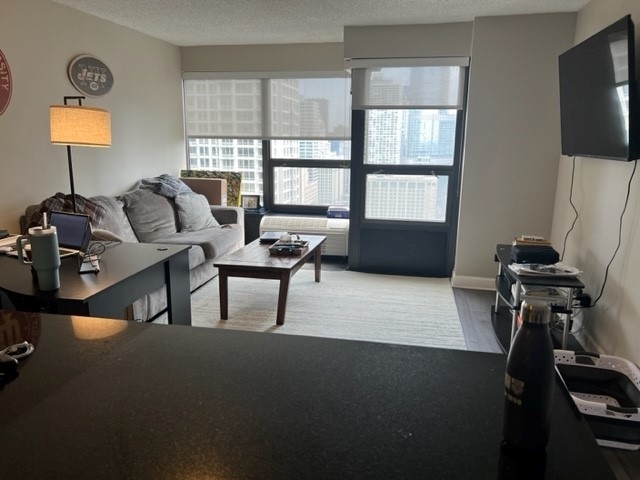 30 E Huron Street - Photo 3