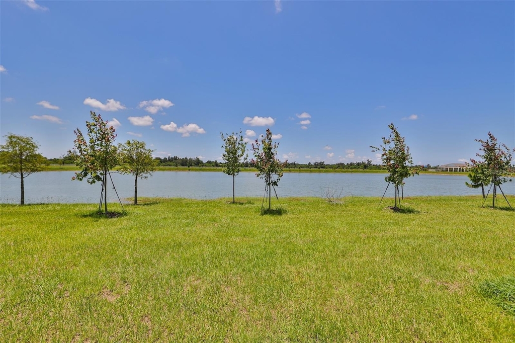 245 Mangrove Shade Circle - Photo 6