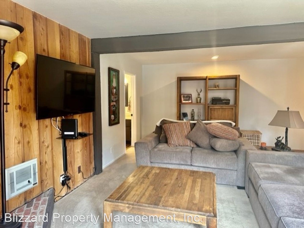 248 Mammoth Slopes Dr # 2 - Photo 20