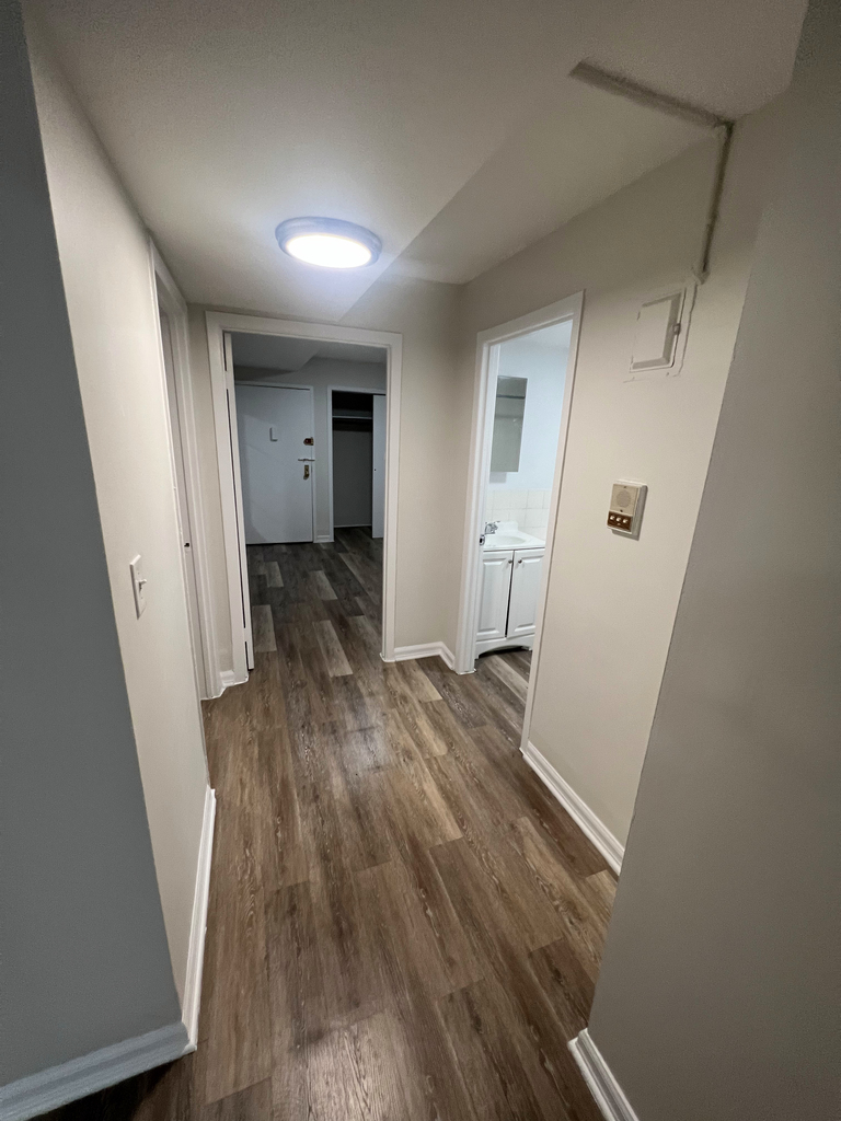 539 West 49th Street #B1 - Photo 10