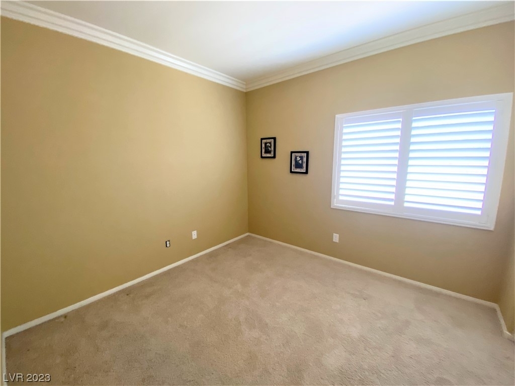 10842 Morning Frost Street - Photo 19