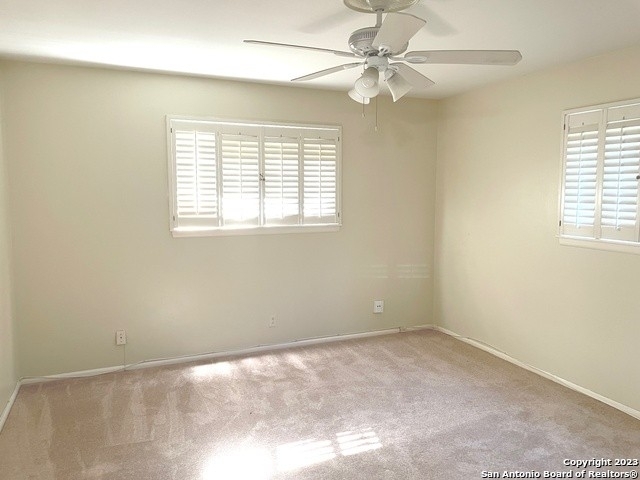 109 Trillium Ln - Photo 10