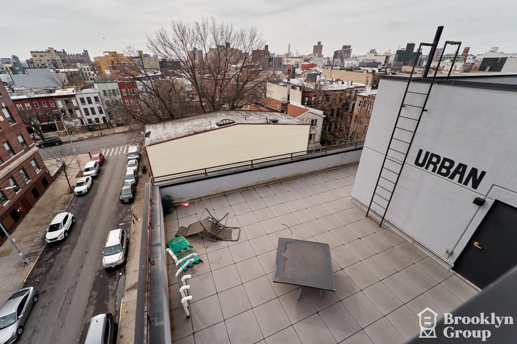 15 Cedar Street - Photo 15