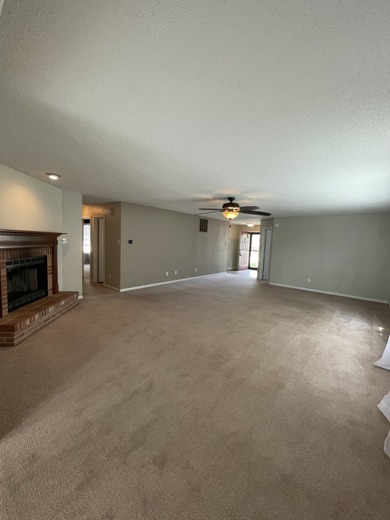 10270 Tournon Drive - Photo 3