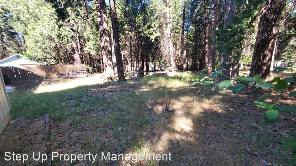 25026 Highway 108 - Photo 13