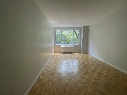 East 50th Street - Photo 4