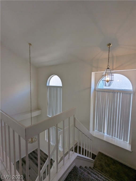 2428 Twin Flower Circle - Photo 10