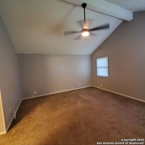 13911 Hohmann Ct - Photo 12