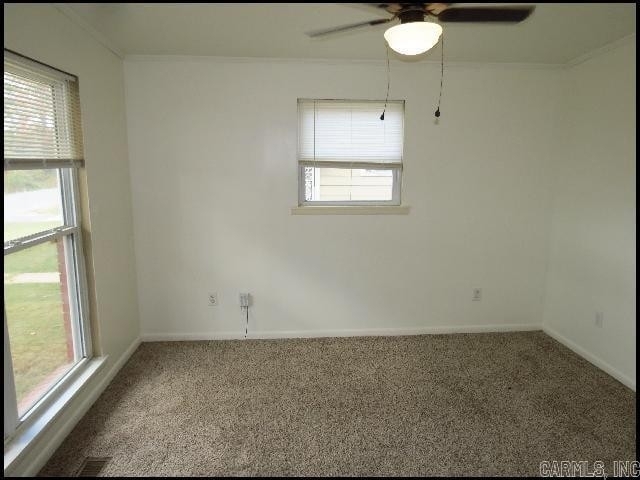 910 Rocky Street - Photo 8