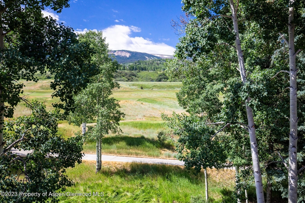 294 Snowmass Club Circle - Photo 21