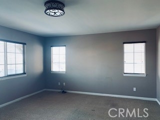 12823 Spring Mountain Drive - Photo 10