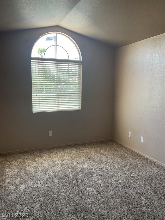 10416 Horseback Ridge Avenue - Photo 10