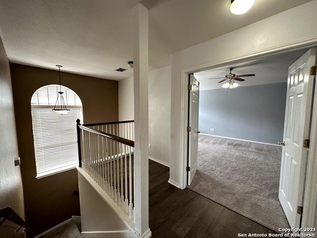 9842 Connemara Bend - Photo 16