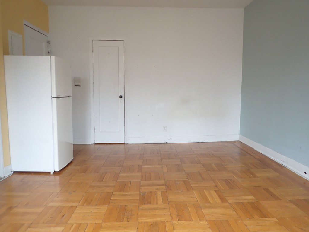 99 South Oxford Street - Photo 1