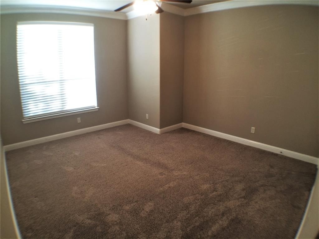 10524 Steinbeck Lane - Photo 21