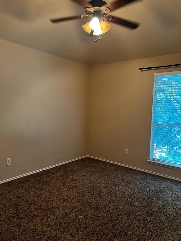 13413 Grayhawk Boulevard - Photo 16