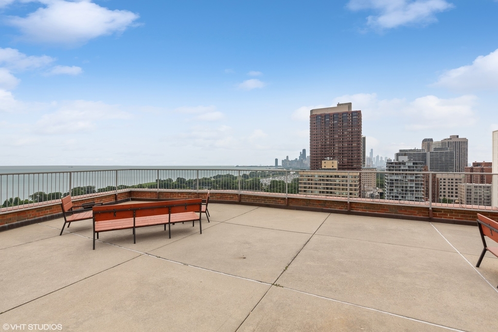 3100 N Lake Shore Drive - Photo 10