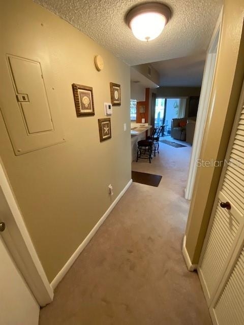 2595 Cyprus Drive - Photo 12